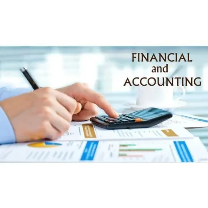 Course - Diploma in Computer Professional Accountant